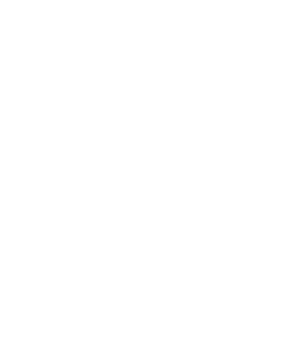 Oberthur Primary School