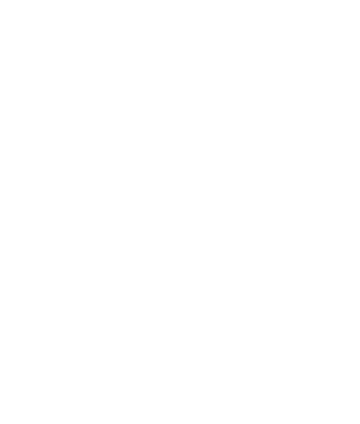 Oberthur Primary School